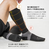 Wフィールドソックス