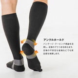 Wフィールドソックス