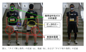 機能試験による膝伸展筋群への負担軽減を図る可能性を示唆